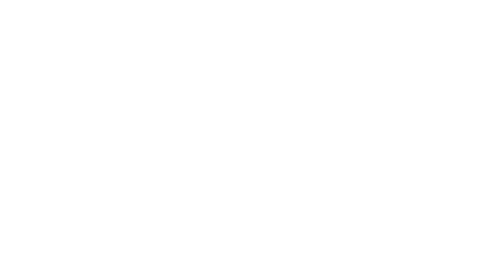 mint shadow Logo